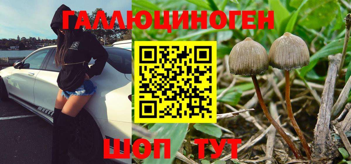 Галлюциногенные грибы мухоморы Омск